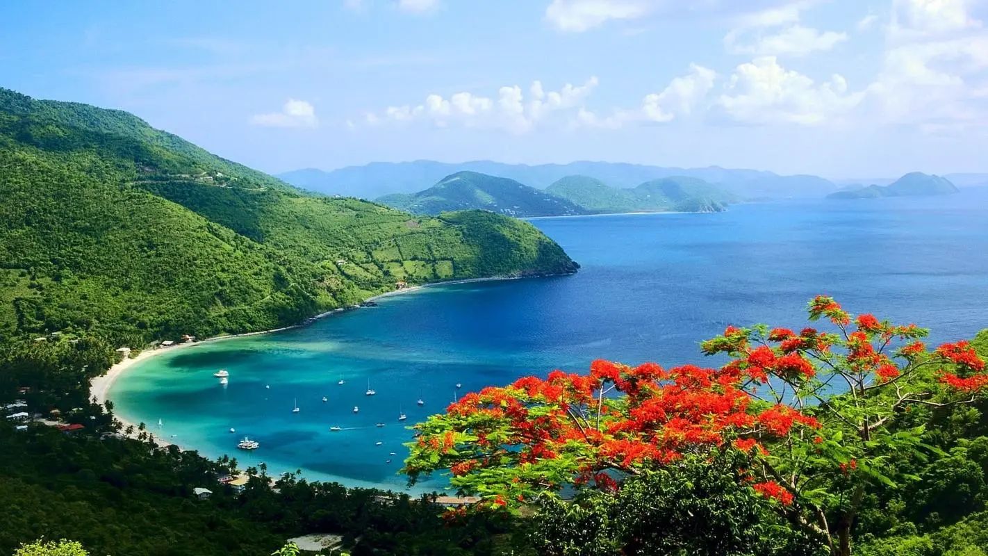 节能网络化